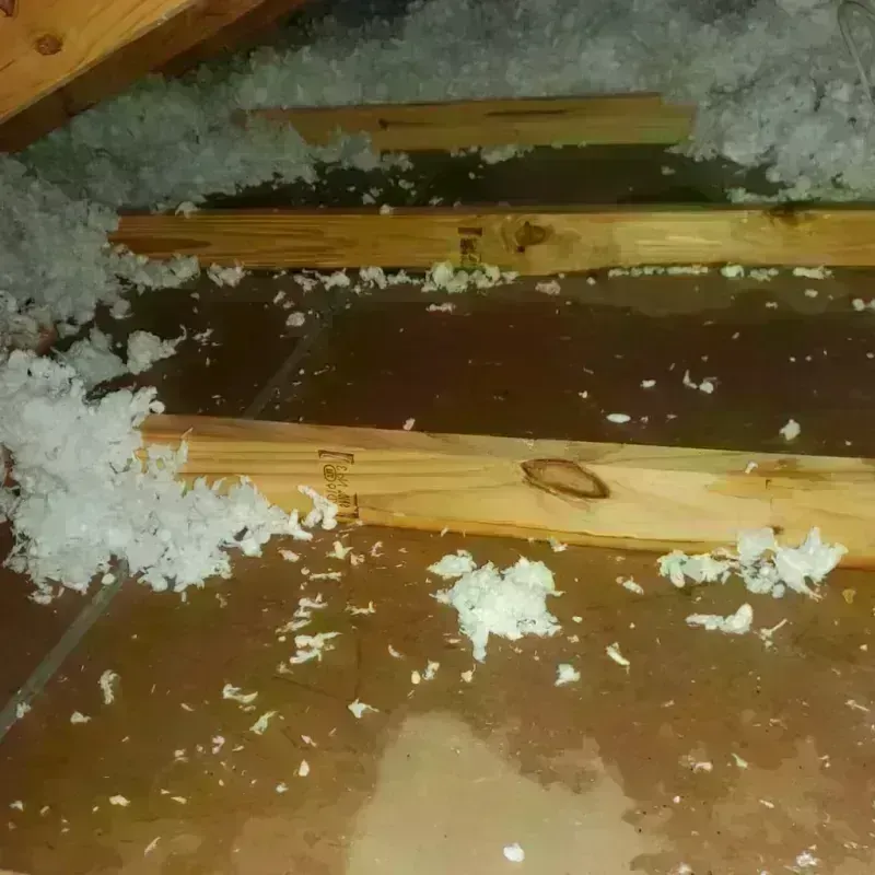 Attic Water Damage in Prairie Grove, IL