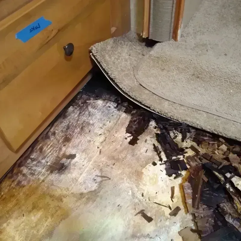 Best Wood Floor Water Damage Service in Prairie Grove, IL